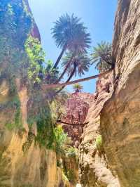 Wadi Ghuweir Oasis: A Hidden Gem in Jordan 🌿✨