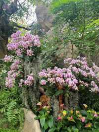 亞洲最大的上海溫室花園