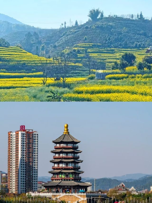 百色點玩好？直接複製以下路線啦。