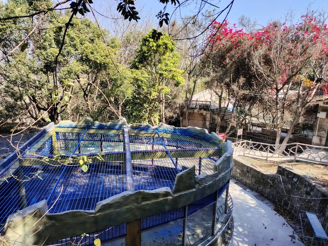 漫步冬日暖陽下的攀枝花公園