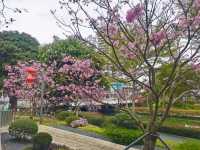 遊覽後海中心河公園