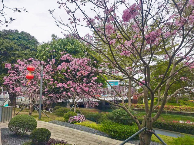 遊覽後海中心河公園