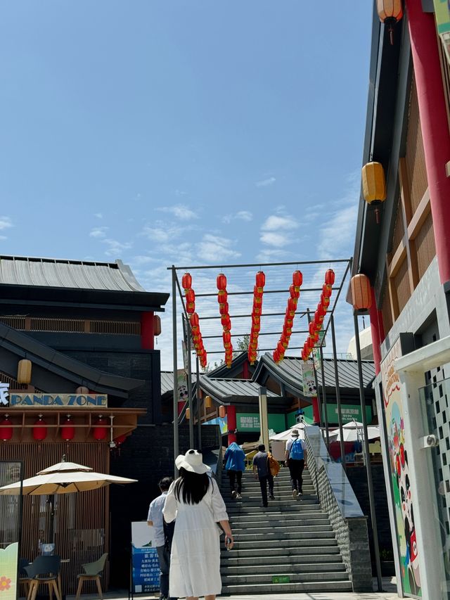 重慶大熊貓基地探秘 | 三個超讚打卡點