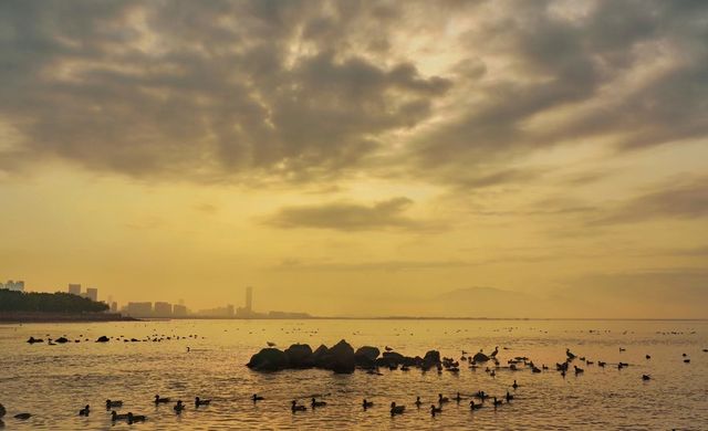 深圳灣出片暴擊！懸浮樹×鏡面沙灘ins風攻略