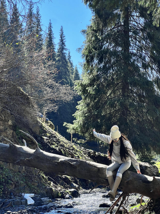 不在國外不在國外就在烏魯木齊南山