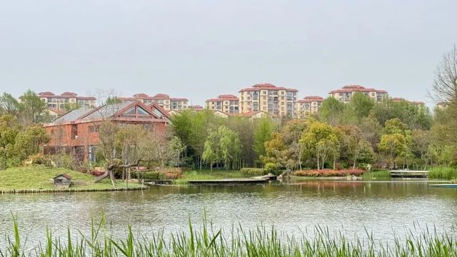 長興島濕地公園，春日治癒系被這裡承包了！