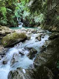 清明踏春好去處 長江三峽－三峽大壩的森林秘境等你探索
