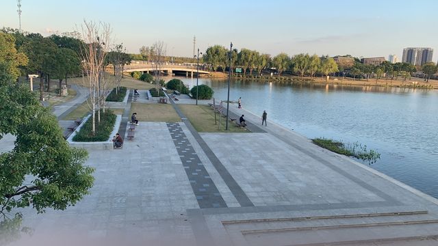 上海嘉定週末遊：湖光與藝術的浪漫邂逅