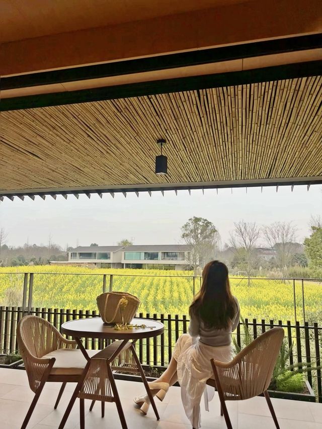 在成都周邊！！躺在房間就可以看油菜花