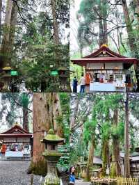 前往宮崎，展開一趟山海之旅