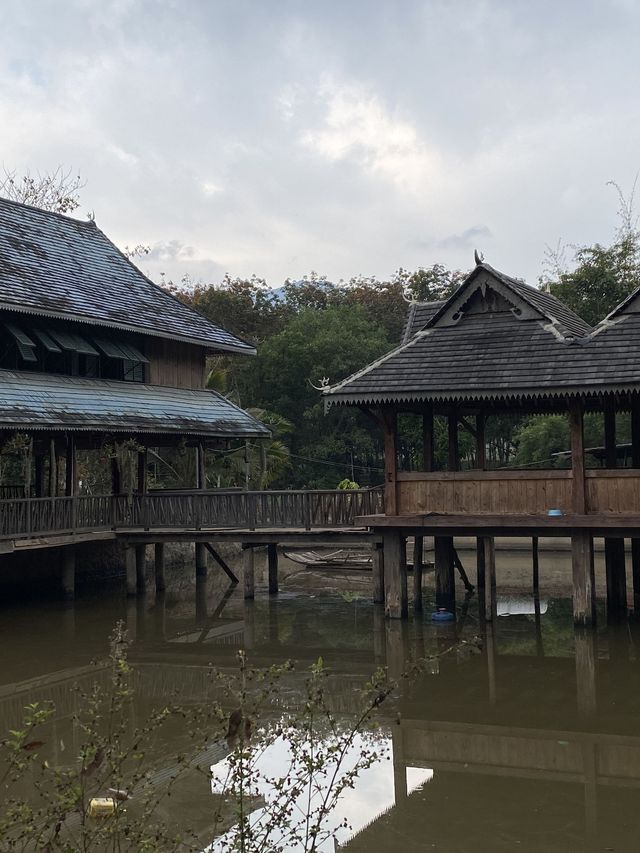 勐臘5天行程 老友們一起嗨翻天