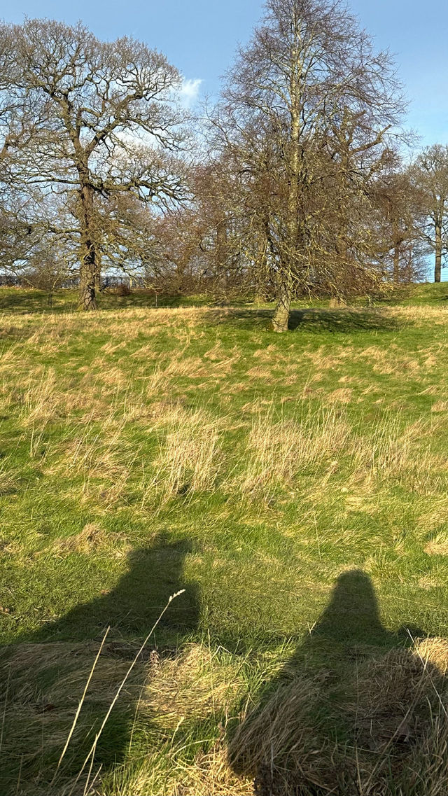 英國旅遊｜自然是藝術品 Yorkshire雕塑公園