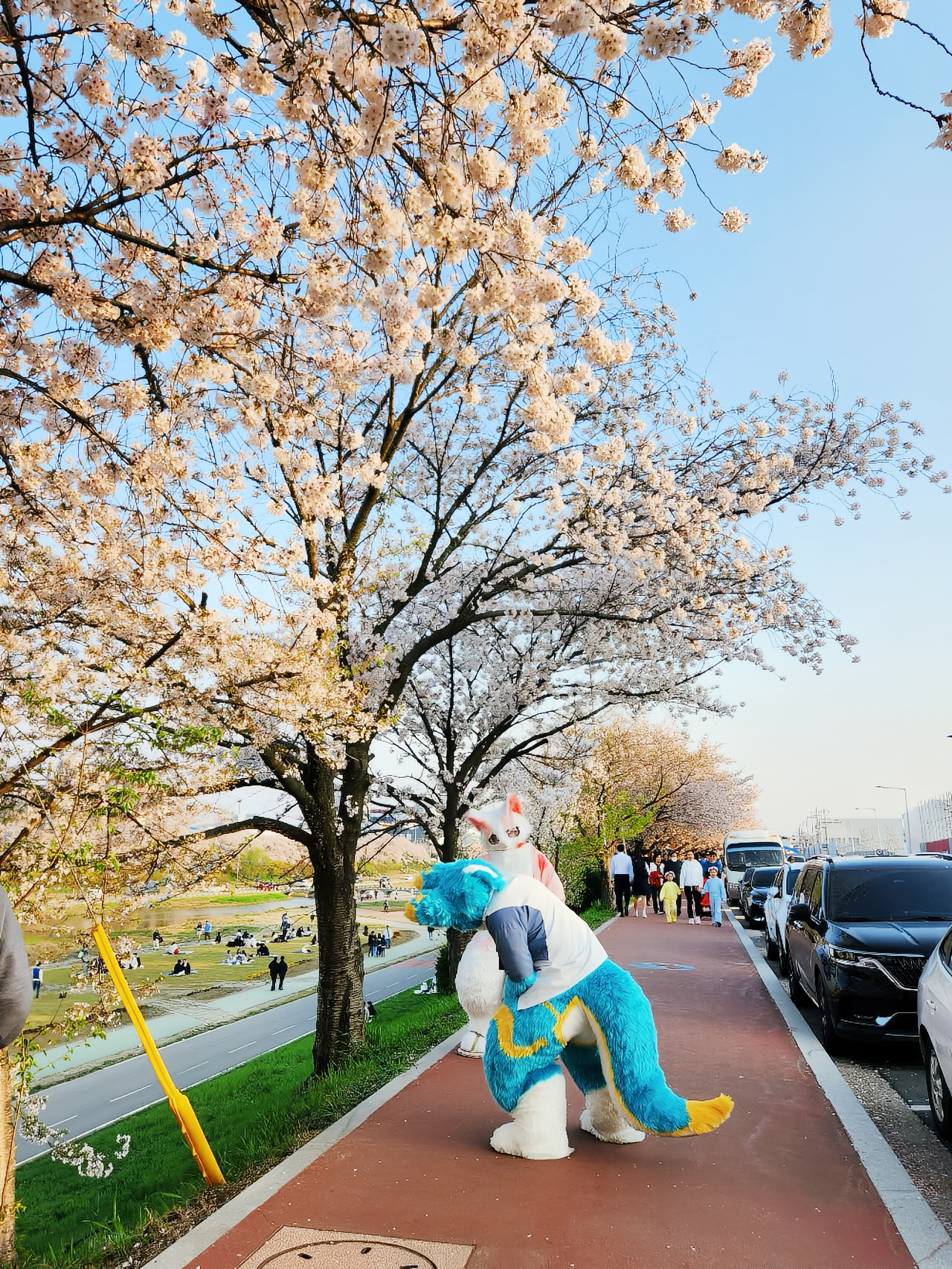 Presenting the ultimate Cheongju travel guide!