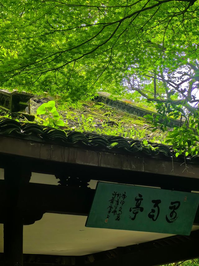 雲棲竹徑｜一場與自然嘅私密對話