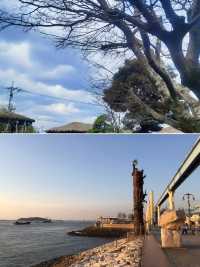 韓國莞島郡超全攻略！必看