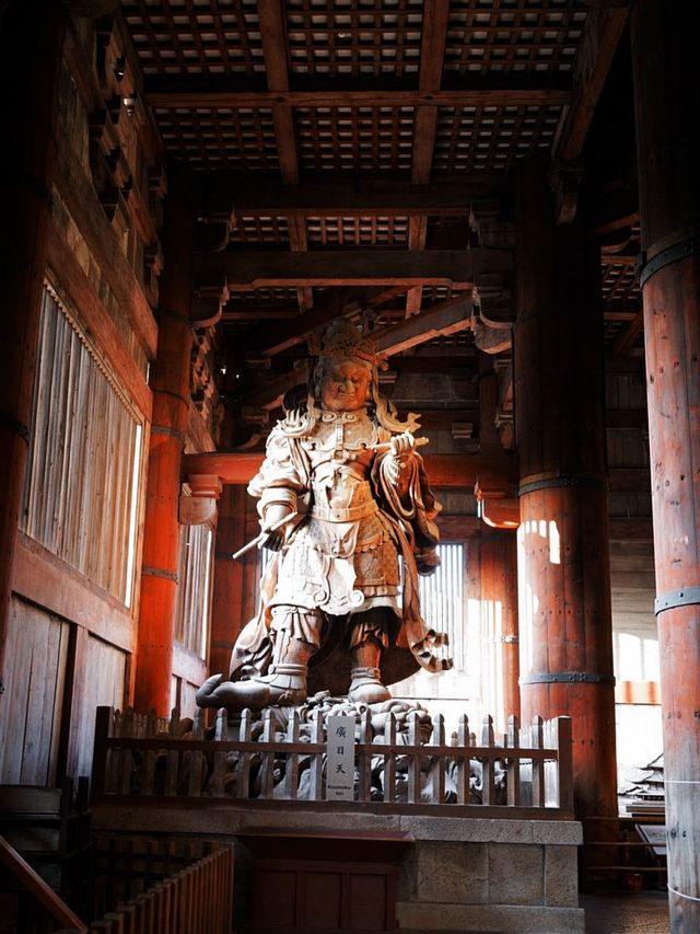 清明踏青日本 超美旅行攻略來啦
