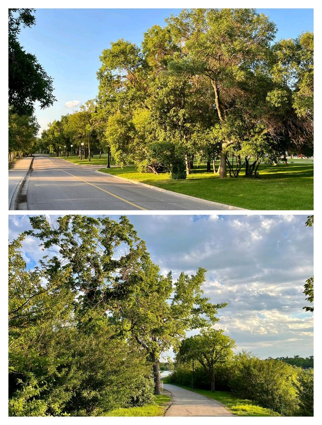 里賈納寶藏漫步，Wascana湖全攻略。