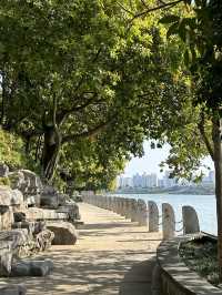 南寧南湖公園：免費的城市自然瑰寶