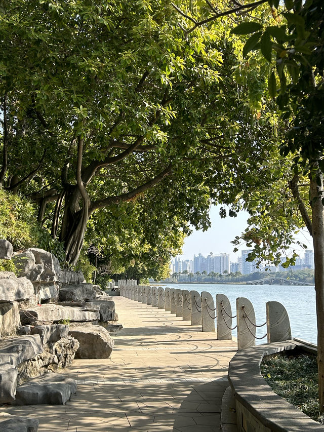 南寧南湖公園：免費的城市自然瑰寶