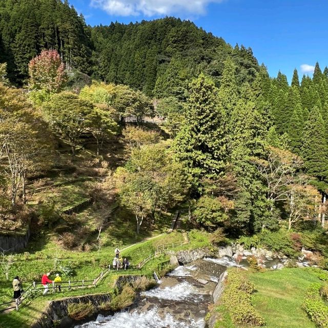 🇯🇵｜福岡❶小眾秘境㊙️隱藏在深山裡的森林☕️