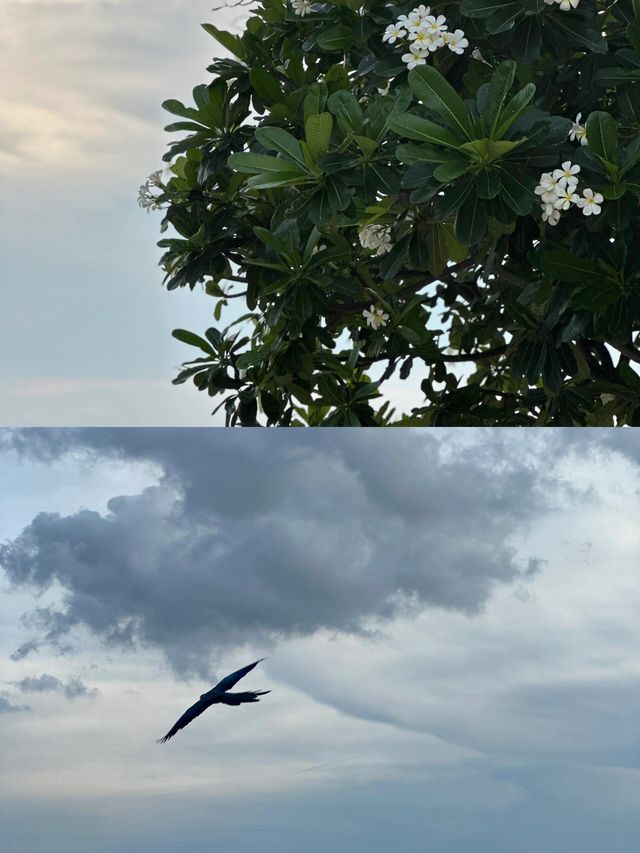 小眾寶藏地 | 泰國根格拉占縣，被低估的旅行天堂