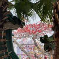 總要去趟中山吧 | 解鎖西山寺與步行街的Citywalk