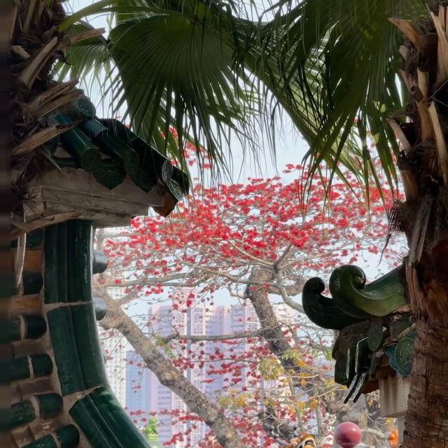 總要去趟中山吧 | 解鎖西山寺與步行街的Citywalk