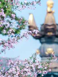 「普照佛光疊翠巒，無錫聖境秀靈山」