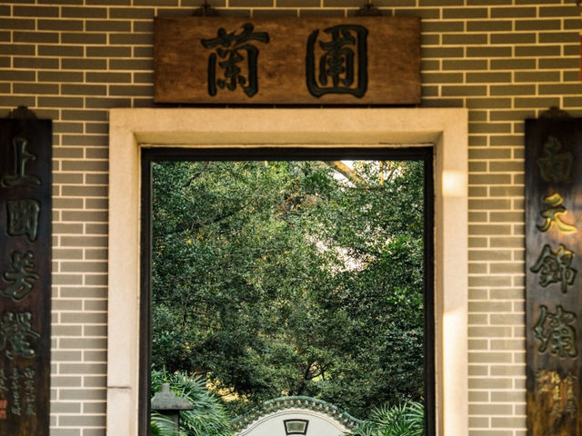 廣州蘭圃，超級治愈的蘭花天堂✨