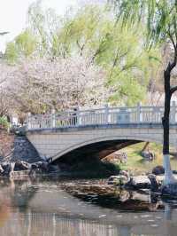 趁著花香微風，踏上「野」的旅程。