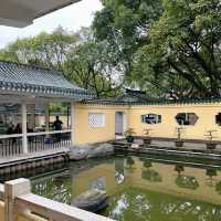 2025好去處｜人好少，春遊重慶渝中區鵝嶺公園，很舒服嘛