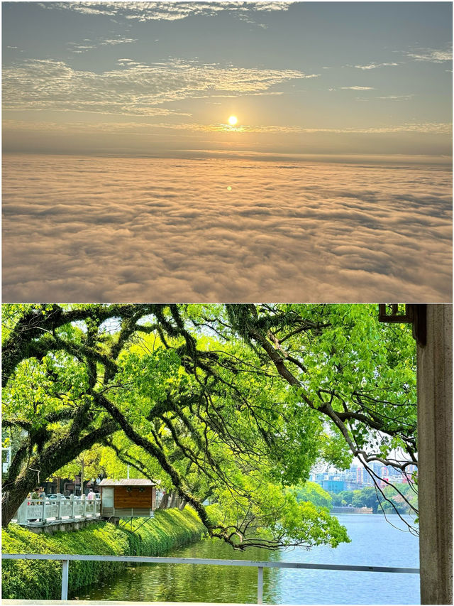 清明反向遊 | 高鐵直達4座小眾寶藏城市
