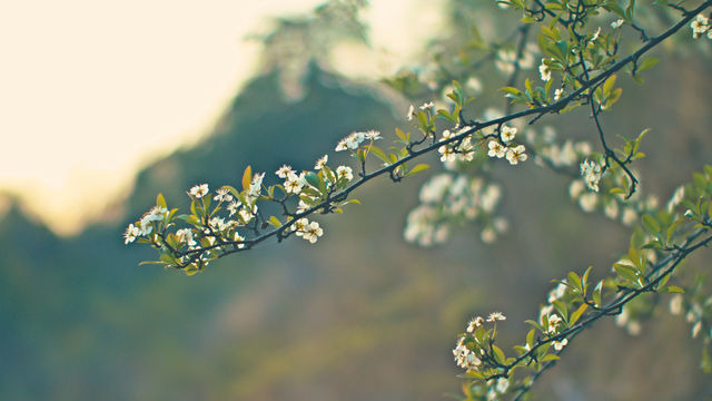3～4月到丹霞山旅遊，上春山。