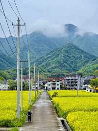 和城市斷交一天，杭州1h直達富春山居圖