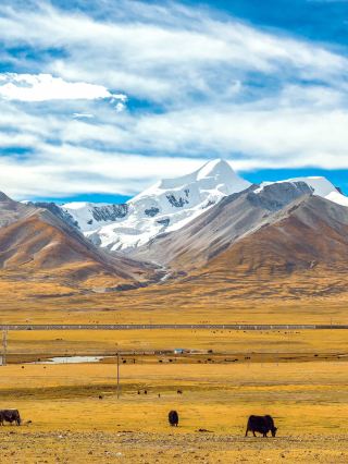 9-Day Ultimate Travel Guide to Jiuquan and Beyond: Become a Travel Expert