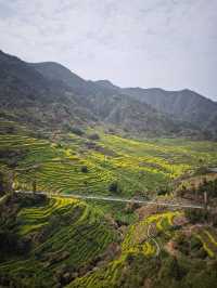 三月底婺源油菜花旅遊攻略