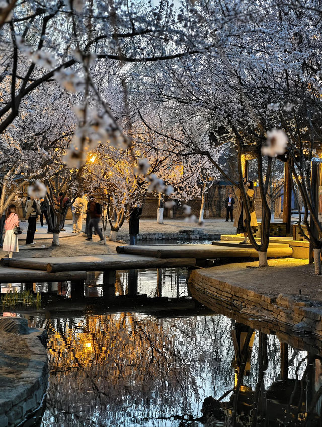 北京賞花勝地| 闖進現實版桃花源 