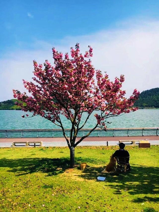 打卡中國所有337城第98站 浙江 寧波市