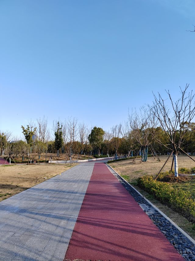 南京城東的「超級綠肺」——麒麟中央公園