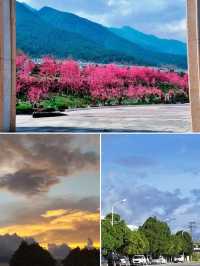 大理新發現！住進古城風景裏