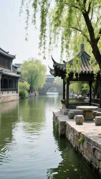 救命！台兒莊古城這潑天的富貴我先享為敬啦
