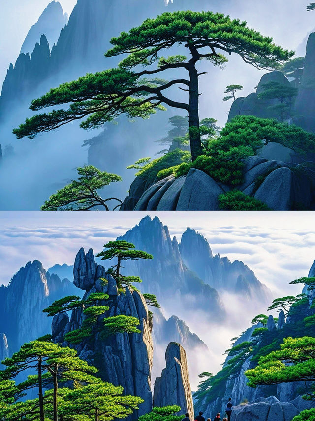 【05女生黃山兩天一夜】探秘仙境