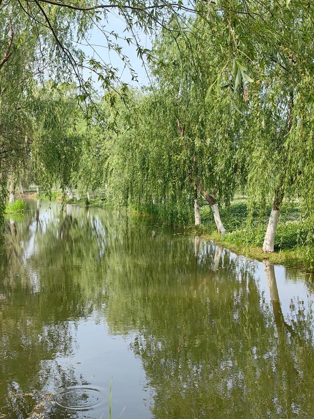 環遊巢湖