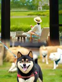 住進大地瞳孔裡·私享懸崖星空泡池