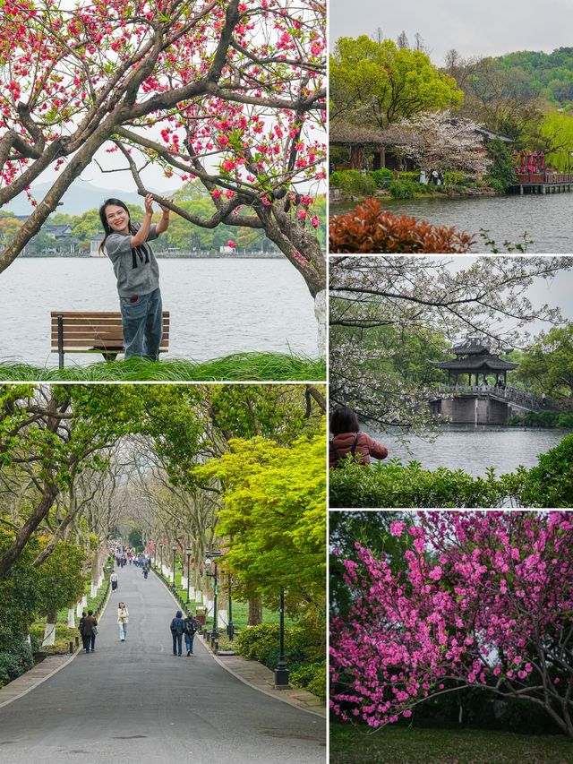 西湖嘅桃花美景，承包成個春天嘅粉紅邂逅