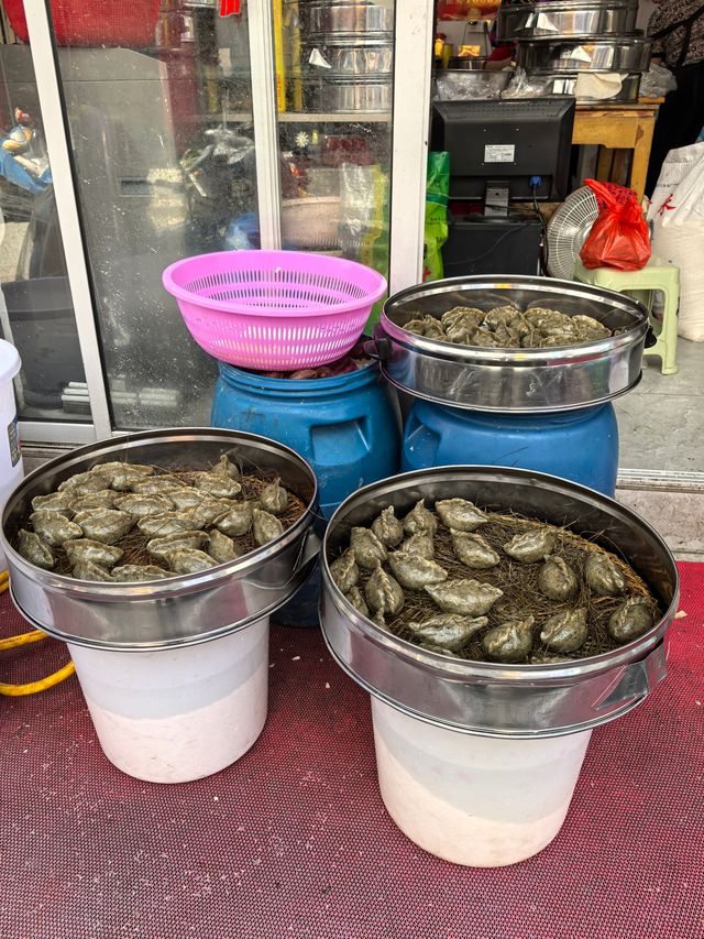 鐵城邵武