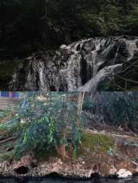 我好似發現咗綠野仙蹤嘅入口，莫里瀑布……