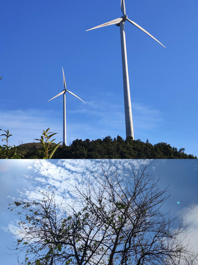 唔使去新疆！喺廣東！！3個鐘睇雲海！