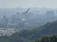 The Best View Of Taipei, Elephant Mountain! Free and convenient ( it’s a must do)