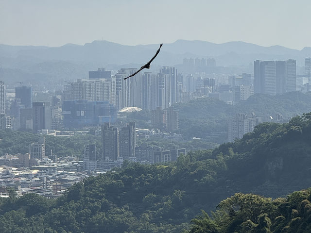 The Best View Of Taipei, Elephant Mountain! Free and convenient ( it’s a must do)